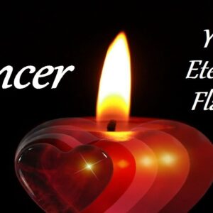 Cancer November 2020 ❤️ "I'll Never Leave Again" ❤️ Your Eternal Flame Timeless