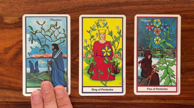 Take the high road 22 November 2021 Your Daily Tarot Reading with Gregory Scott
