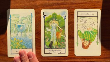Celebrate who you are! 2 November 2021 Your Daily Tarot Reading with Gregory Scott