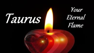Taurus November 2021 ❤ ""I'll Search For You Lifetime After Lifetime" ❤ Your Eternal Flame