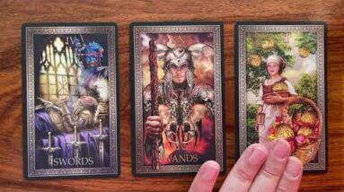 Don’t be put off today! 10 November 2021 Your Daily Tarot Reading with Gregory Scott