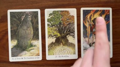 Find and live your own truth 12 November 2021 Your Daily Tarot Reading with Gregory Scott