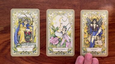 Look to the future 8 November 2021 Your Daily Tarot Reading with Gregory Scott