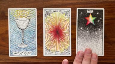 The willingness to change 8 December 2021 Your Daily Tarot Reading with Gregory Scott