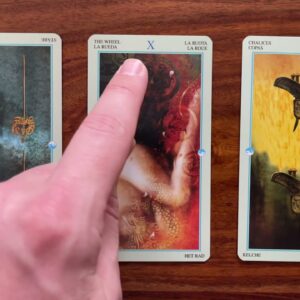 Let live guide your way 14 December 2021 Your Daily Tarot Reading with Gregory Scott