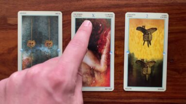 Let live guide your way 14 December 2021 Your Daily Tarot Reading with Gregory Scott