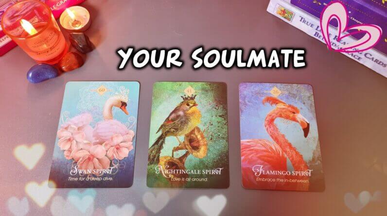 Your Soulmate ☾Pick A Card☽ Who will you Marry👰🤵Your future spouse~ Very Detailed ✴︎ Psychic Reading