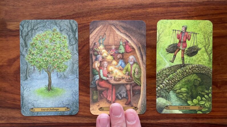 Understand your life mission! 19 December 2021 Your Daily Tarot Reading with Gregory Scott