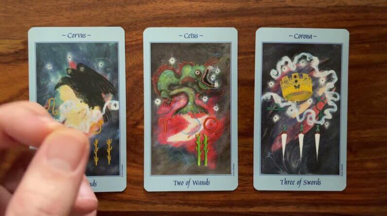 Overcome life challenges 17 December 2021 Your Daily Tarot Reading with Gregory Scott