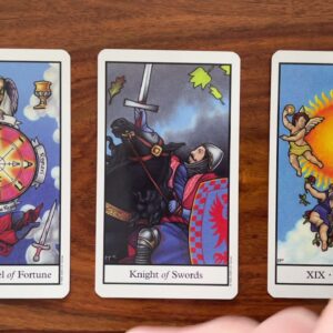 Radical thinking! 7 December 2021 Your Daily Tarot Reading with Gregory Scott