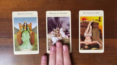 The Universe is talking to you! 24 December 2021 Your Daily Tarot Reading with Gregory Scott