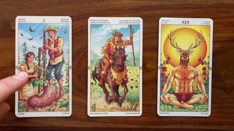 You’re on a roll! 30 December 2021 Your Daily Tarot Reading with Gregory Scott