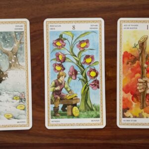 Take back your power! 10 December 2021 Your Daily Tarot Reading with Gregory Scott