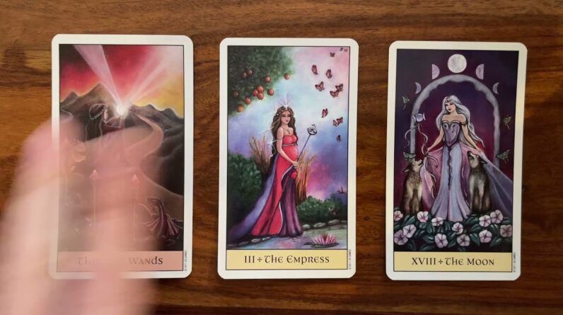 Create your own world 29 December 2021 Your Daily Tarot Reading with Gregory Scott