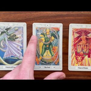 Reach your full potential 20 December 2021 Your Daily Tarot Reading with Gregory Scott