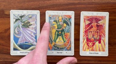 Reach your full potential 20 December 2021 Your Daily Tarot Reading with Gregory Scott