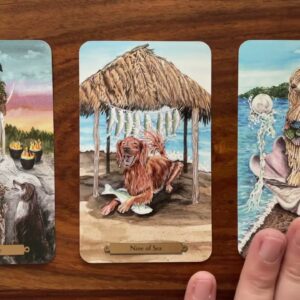 Have a great time! 15 December 2021 Your Daily Tarot Reading with Gregory Scott