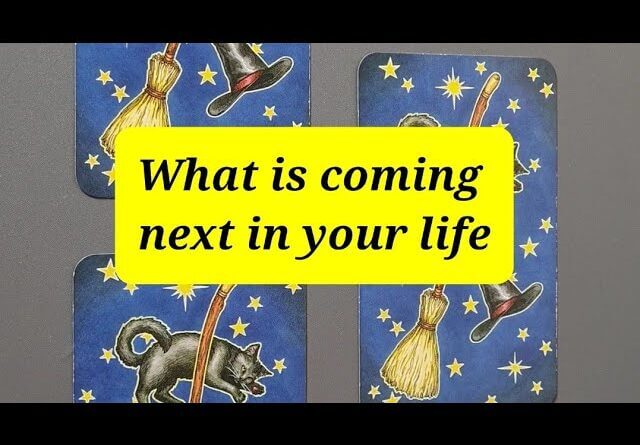 What is coming next tarot reading 🔮 Read description for message #shorts #tarot2022