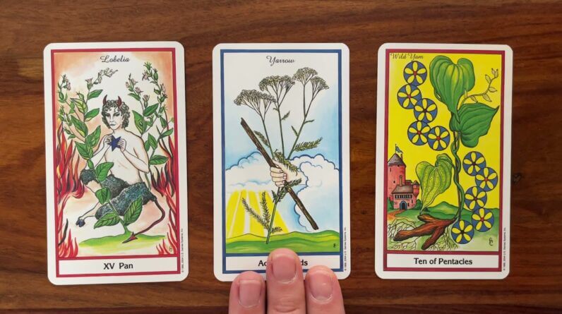 Make future plans! 4 December 2021 Your Daily Tarot Reading with Gregory Scott