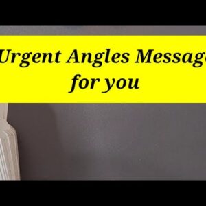 Urgent Angels Message for You #shorts #tarotreading2022