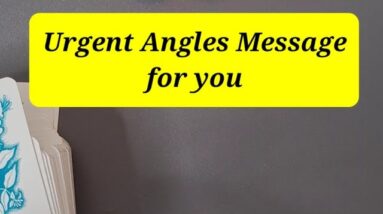 Urgent Angels Message for You #shorts #tarotreading2022