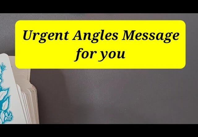 Urgent Angels Message for You #shorts #tarotreading2022