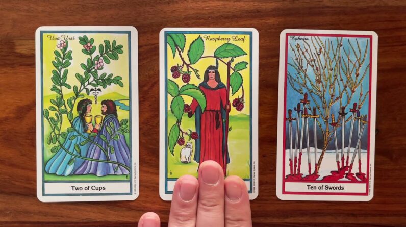 Easy does it! 22 December 2021 Your Daily Tarot Reading with Gregory Scott