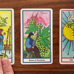 Design your life 13 December 2021 Your Daily Tarot Reading with Gregory Scott
