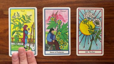 Design your life 13 December 2021 Your Daily Tarot Reading with Gregory Scott