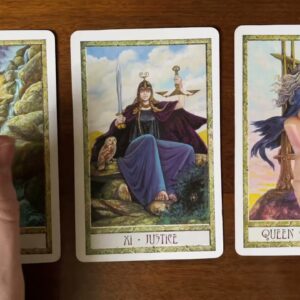 Decide what to do with your life 27 December 2021 Your Daily Tarot Reading with Gregory Scott