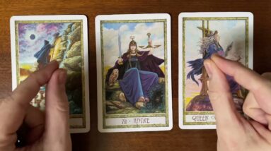 Decide what to do with your life 27 December 2021 Your Daily Tarot Reading with Gregory Scott