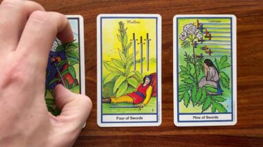 You’re the boss! 17 January 2022 Your Daily Tarot Reading with Gregory Scott