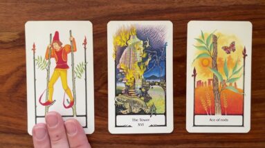 Massive change! 31 January 2022 Your Daily Tarot Reading with Gregory Scott