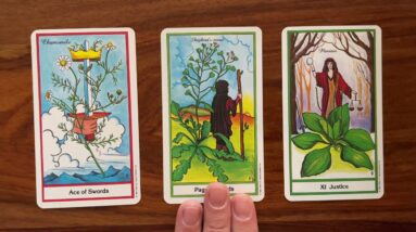 The eureka effect 6 January 2022 Your Daily Tarot Reading with Gregory Scott