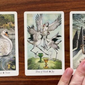 Drop the rock! 19 February 2022 Your Daily Tarot Reading with Gregory Scott