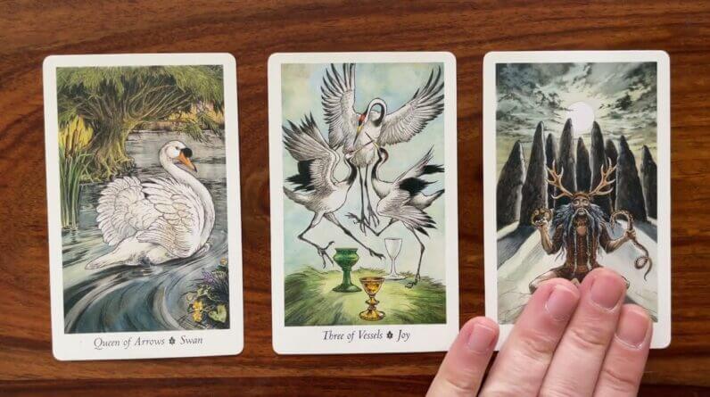 Drop the rock! 19 February 2022 Your Daily Tarot Reading with Gregory Scott