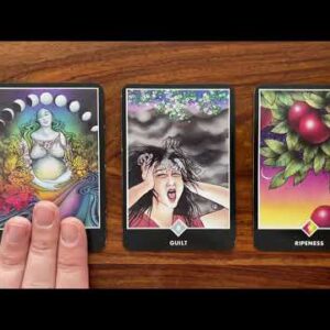 Bounce off the walls! 😆 6 February 2022 Your Daily Tarot Reading with Gregory Scott