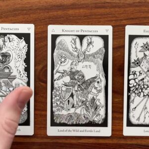 Tailor your life for the perfect fit! 1 March 2022 Your Daily Tarot Reading with Gregory Scott
