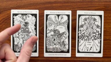Tailor your life for the perfect fit! 1 March 2022 Your Daily Tarot Reading with Gregory Scott