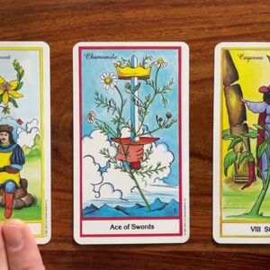 The bright side! 27 February 2022 Your Daily Tarot Reading with Gregory Scott