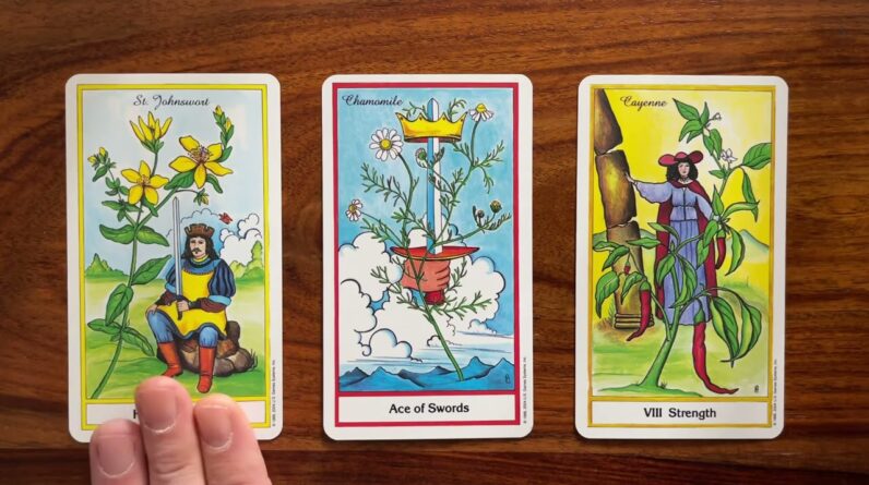 The bright side! 27 February 2022 Your Daily Tarot Reading with Gregory Scott