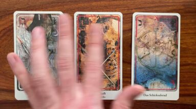 Pick your battles 17 February 2022 Your Daily Tarot Reading with Gregory Scott