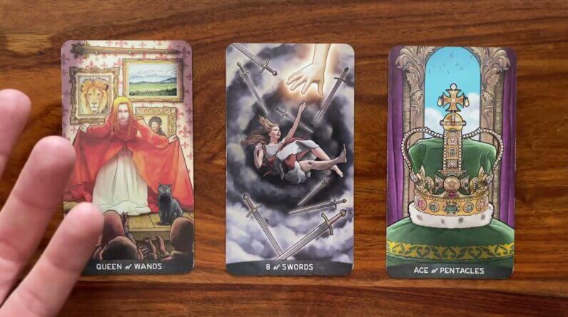 Overcome your problems 7 February 2022 Your Daily Tarot Reading with Gregory Scott