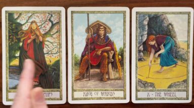 Redesign the wheel! 12 February 2022 Your Daily Tarot Reading with Gregory Scott
