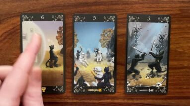 Dont give up on your dreams! 22 February 2022 Your Daily Tarot Reading with Gregory Scott