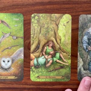 Trust the process 30 March 2022 Your Daily Tarot Reading with Gregory Scott