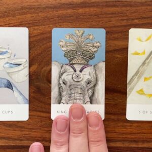 🐘 True strength comes from within 🐘 23 March 2022 🐘 Your Daily Tarot Reading with Gregory Scott