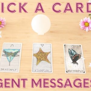 🌸🌺 PICK A CARD 🌸🌺URGENT MESSAGES FROM SPIRIT ✨💫- Timeless Tarot Reading 2022