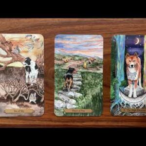 Do you stay or do you go? 24 March 2022 Your Daily Tarot Reading with Gregory Scott