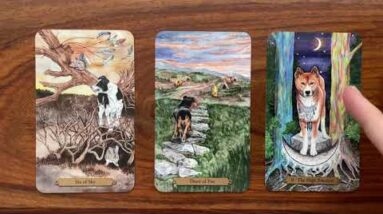 Do you stay or do you go? 24 March 2022 Your Daily Tarot Reading with Gregory Scott